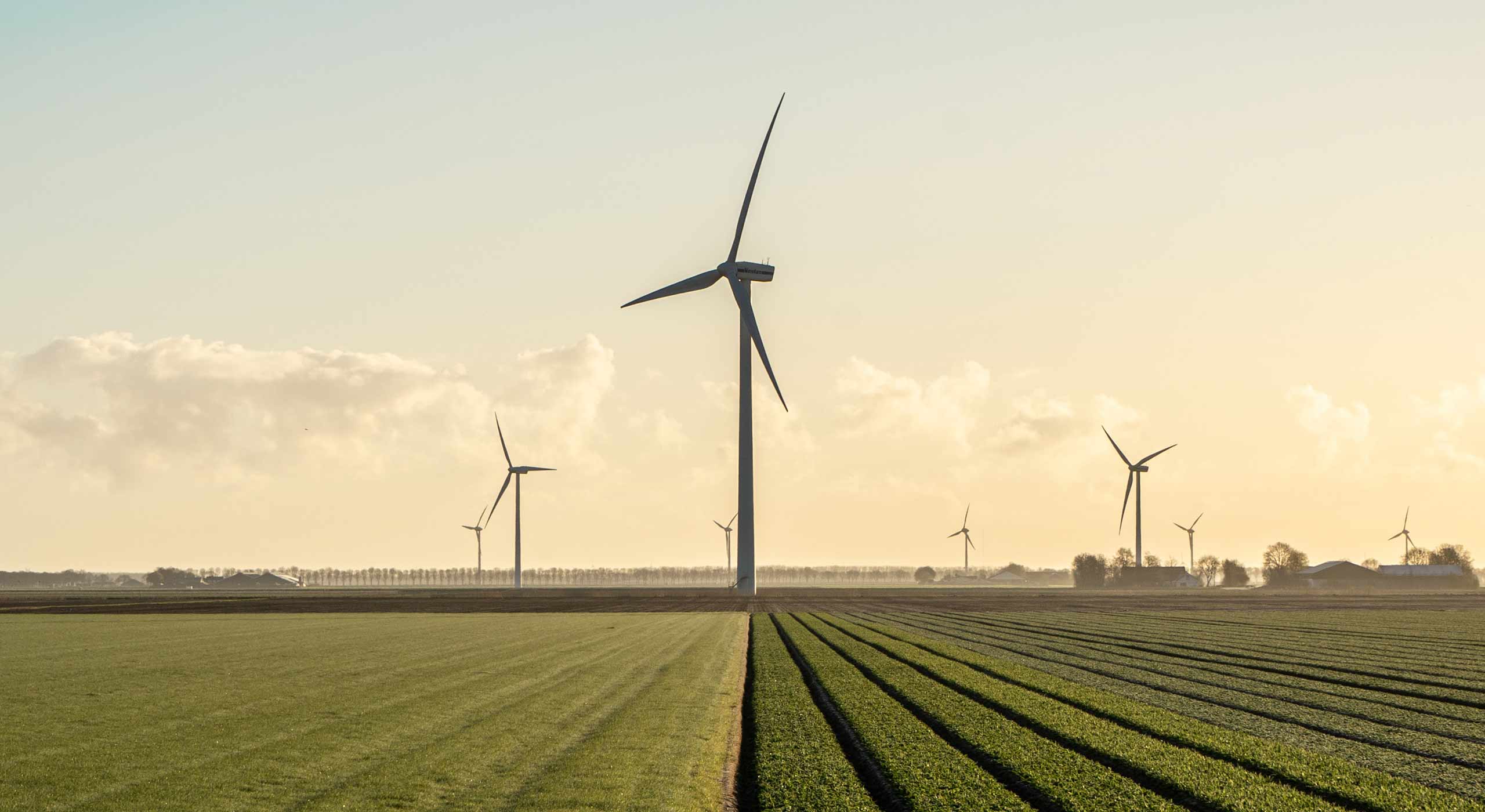 Wind Turbine in Field Wind Turbines in Field